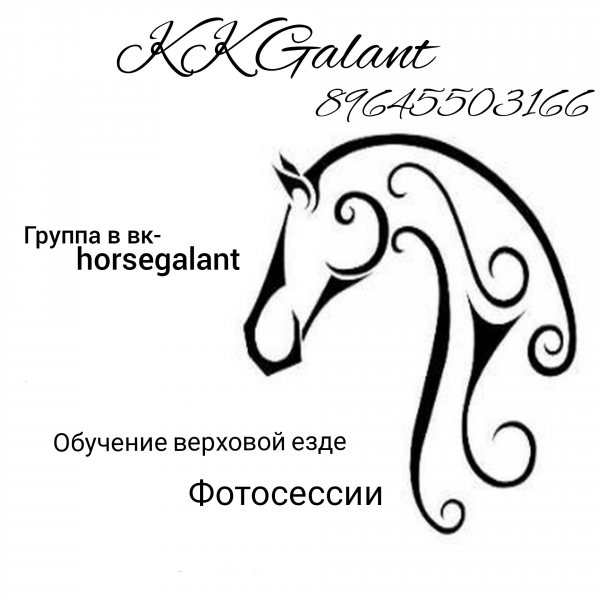 Логотип компании Galant